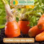 Phân bón NPK 17-17-17 Minro – Dinh dưỡng cân đối, cây khỏe, trái đẹp