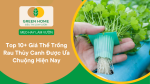 Giá thể trồng rau thuỷ canh