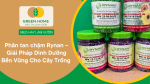 Phân tan chậm Rynan