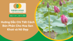 cách bón phân cho hoa sen