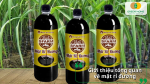 Mật rỉ đường – nguồn dinh dưỡng tự nhiên ứng dụng rộng rãi trong nông nghiệp, chăn nuôi và xử lý môi trường
