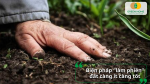 Hạn chế xới trộn quá mức để giữ cấu trúc và hệ vi sinh vật tự nhiên trong đất