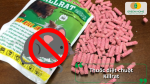 Thuốc diệt chuột Killrat xử lý nhanh gọn các ổ chuột trong nhà và kho chứa