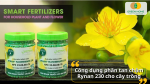 Rynan 230 nuôi rễ khỏe – lá dày xanh – giúp cây tăng trưởng mạnh mẽ