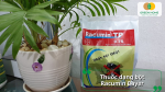 Thuốc dạng bột Racumin Bayer dễ rải, dễ sử dụng – hiệu quả cao trong việc kiểm soát chuột