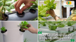 Cùng Greenhome giải đáp các thắc mắc phổ biến giúp bạn tự tin bắt đầu mô hình trồng rau