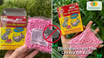 Thuốc diệt chuột Thái Lan Ars Rat Killer phù hợp sử dụng trong nhà và khu vực chứa thực phẩm 