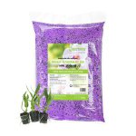 Phân Tan Chậm Rynan 200