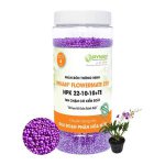 Phân Tan Chậm, Rynan 210, Hũ 1,25kg, Dùng Cho Phong Lan Trưởng Thành, Bonsai, Đủ Dưỡng Chất Cho 120 Ngày