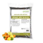 hân tan chậm RYNAN NPK 16-16-16 – công thức cân đối 3 dưỡng chất giúp cây có múi phát triển mạnh, nuôi trái khỏe, hạn chế rụng quả