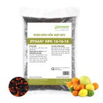 hân tan chậm RYNAN NPK 16-16-16 – công thức cân đối 3 dưỡng chất giúp cây có múi phát triển mạnh, nuôi trái khỏe, hạn chế rụng quả