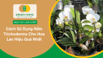 cách sử dụng nấm Trichoderma cho hoa lan