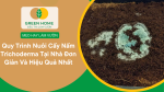 quy trình nuôi cấy nấm Trichoderma