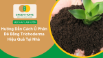 Hướng dẫn cách ủ phân dê bằng Trichoderma hiệu quả tại nhà