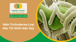 Nấm Trichoderma loại nào tốt