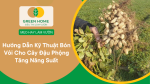 Kỹ thuật bón vôi cho cây đậu phộng