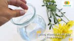 Vitamin B1 pha loãng giúp hoa hút nước tốt, hạn chế héo rũ.