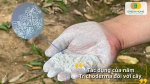 Trichoderma kích rễ, diệt nấm hại, cải tạo đất, nâng sức đề kháng tự nhiên cho cây.