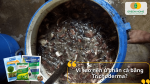 Lý do Trichoderma là lựa chọn tối ưu giúp phân cá lên men nhanh, giảm mùi và tăng dinh dưỡng