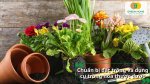 Chuẩn bị đất tơi xốp, chậu và dụng cụ trồng hoa