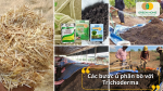 Trộn đều phân bò, rơm rạ và Trichoderma rồi tưới ẩm, đậy kín để vi sinh hoạt động mạnh.