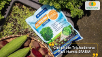 Sự kết hợp hoàn hảo giữa Trichoderma và Humic giúp rễ khỏe, đất tơi xốp, cây phát triển mạnh.