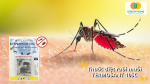 Termosant 10SC – giải pháp mạnh cho ruồi, muỗi, kiến gián với hiệu quả nhanh.