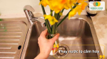 Thay nước lọ cắm hoa thường xuyên giúp hoa luôn tươi.