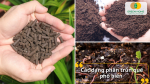 Phân trùn quế có nhiều dạng như bột, viên nén, dạng thô… phù hợp cho từng mục đích và mô hình trồng khác nhau