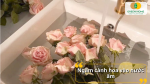 Ngâm cành hoa trong nước ấm để hoa nhanh hồi sức sau khi mua về