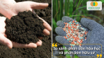 So sánh phân bón hóa học và phân bón hữu cơ