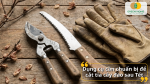 Chuẩn bị đầy đủ kéo cắt, cưa nhỏ và găng tay giúp thao tác cắt tỉa an toàn, chính xác.
