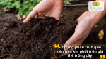 Trộn phân trùn quế viên nén vào giá thể giúp tăng độ mùn, cải tạo đất và giữ ẩm tốt hơn