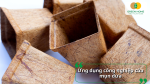 Các ứng dụng công nghiệp hiện đại từ mụn dừa như sản xuất chậu ươm tự hủy thân thiện với môi trường.