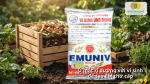 Ủ mật rỉ đường với vi sinh giúp tạo dung dịch EM tăng hiệu quả cải tạo đất.