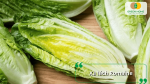 Xà lách Romaine có thân lá dày, vị đậm và rất được ưa chuộng trong các món ăn phương Tây.