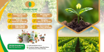 Chăm cây có GreenHome khỏi lo thiếu chất
