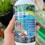 Ảnh khách chụp sản phẩm