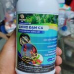 Ảnh khách chụp sản phẩm