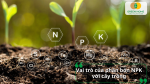 Phân bón NPK cung cấp dinh dưỡng đa lượng giúp cây con phát triển khỏe mạnh