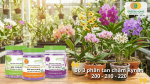 Bộ phân bón tan chậm Rynan 200 210 220 chuyên dùng cho hoa lan ra rễ phát chồi và ra hoa