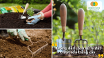 Các bước xử lý đất bằng dụng cụ làm vườn, giúp tạo nền đất lý tưởng cho cây phát triển