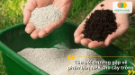 Trộn phân bón NPK với phân hữu cơ để bón cho cây trồng đúng cách và hiệu quả
