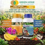Combo phân bón GreenHome amino đạm cá và dịch chuối 500ml giúp cây khỏe, hoa đẹp, trái to và tăng năng suất tự nhiên.