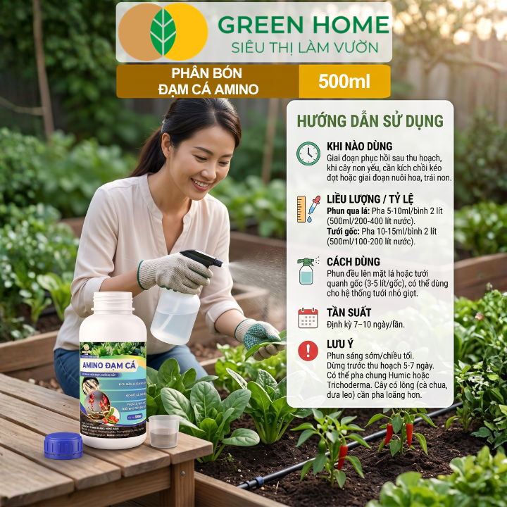 Vườn cà phê sai quả, thể hiện khả năng kích chồi, kéo đọt và tăng năng suất nhờ phân bón amino đạm cá