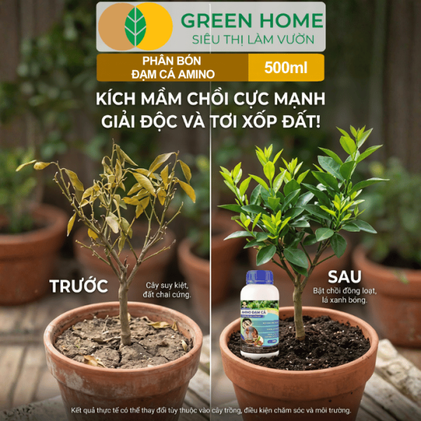 Phân Bón Hữu Cơ Đạm Cá Amino, Chai 500ml