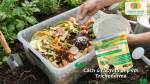 Ủ rác hữu cơ nhà bếp bằng nấm Trichoderma tạo phân compost