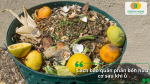 Cách bảo quản phân hữu cơ sau khi ủ để dùng lâu dài