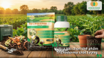 Lưu ý khi lựa chọn chế phẩm Trichoderma chất lượng cho nhà vườn