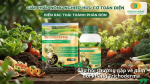 Giải đáp câu hỏi thường gặp về nấm đối kháng Trichoderma